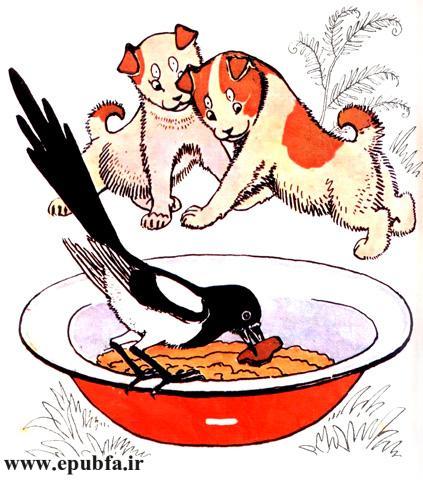 شعرهای کودکانه: بچهها بچهها / آشنایی کودکان با نام حیوانات 13